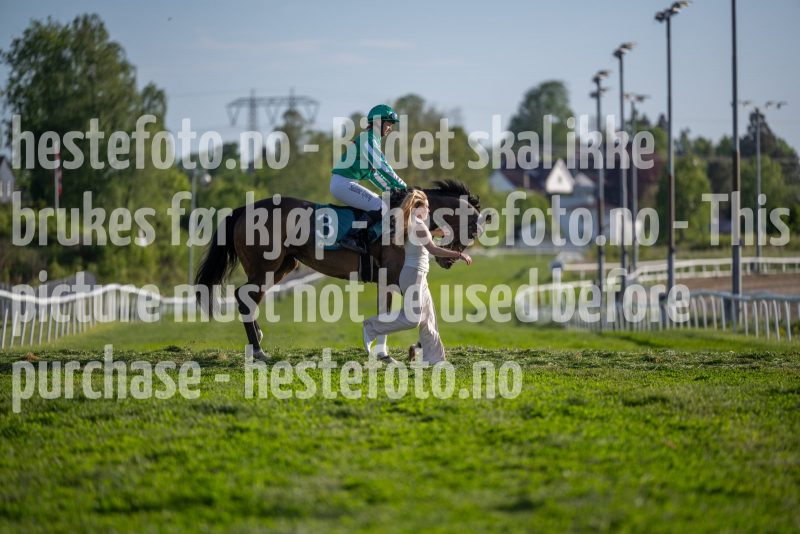 20250517-190618-DSC1828