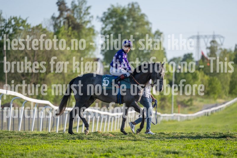 20250517-193247-DSC2098