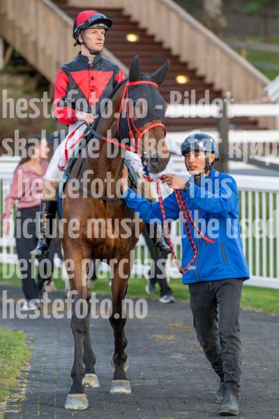 20250517-214923-DSC_7681