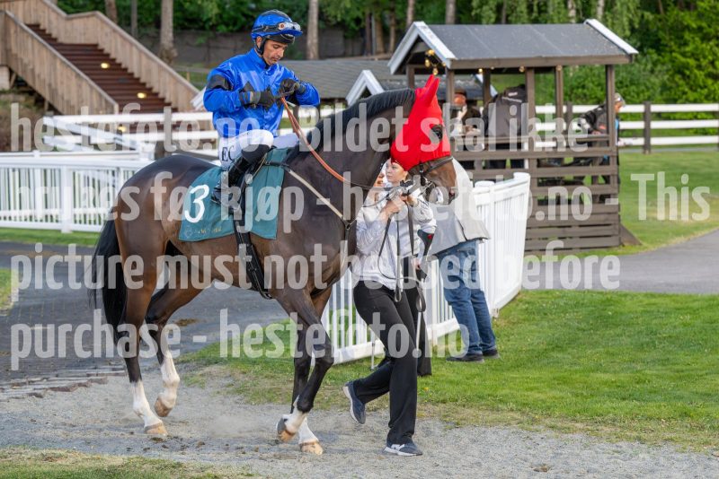 20250517-215048-DSC_7781