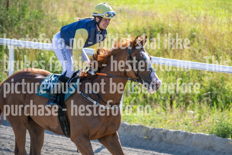 20250717-174703-DSC_8306