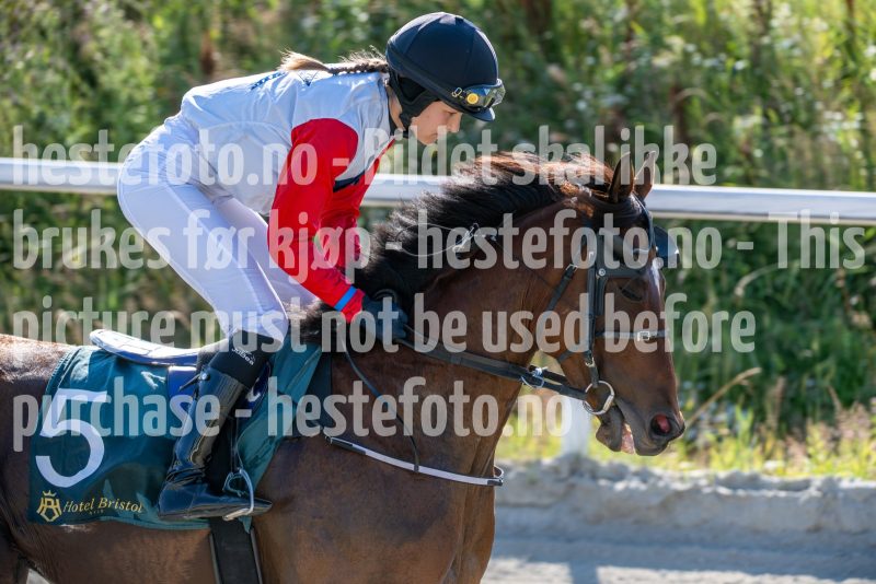 20250717-174754-DSC_8432
