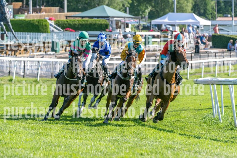 20250717-175438-DSC_8626