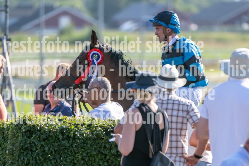 20250717-182144-DSC_9162