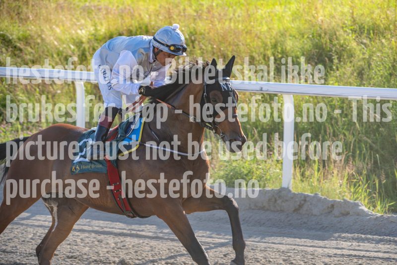 20250717-190239-DSC_0057