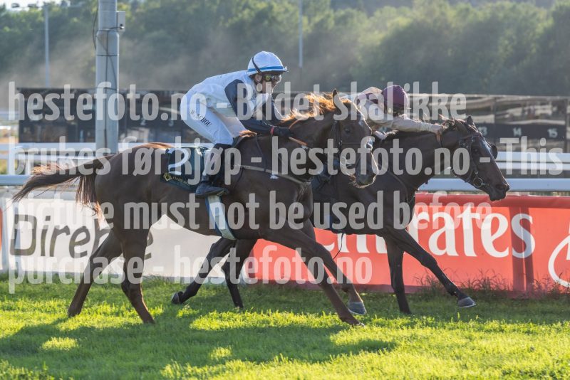 20250717-193721-DSC9635