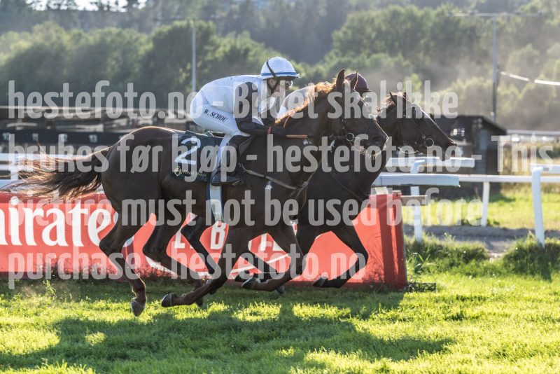 20250717-193721-DSC9637