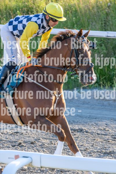 20250717-201723-DSC_1578