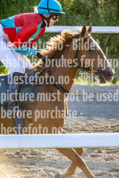 20250717-201836-DSC_1754