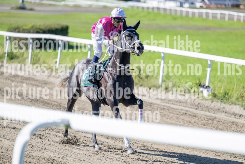 20250917-121702-DSC_1700