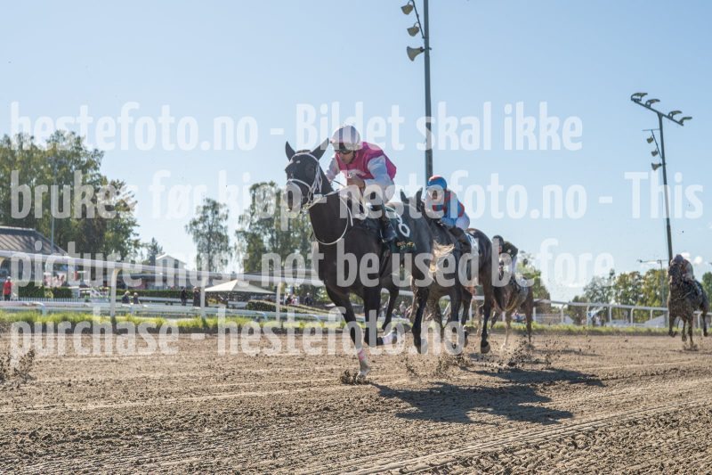 20250917-122942-DSC_6547