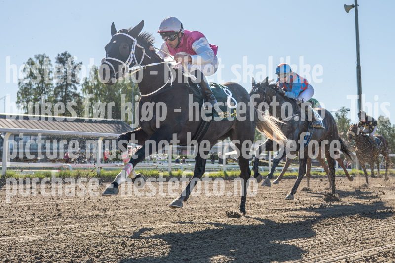 20250917-122943-DSC_6549