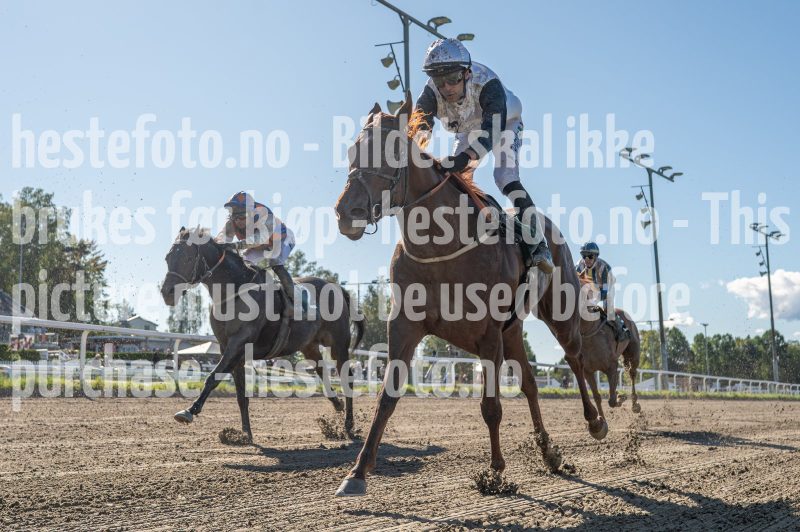 20250917-122944-DSC_6559