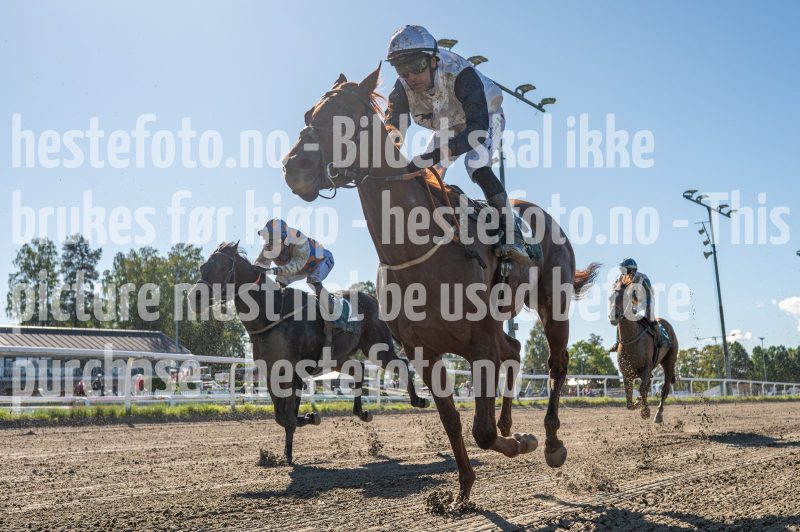 20250917-122944-DSC_6560