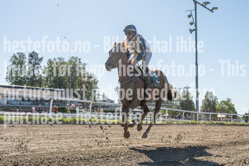 20250917-122944-DSC_6565