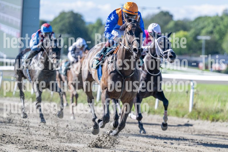 20250917-123016-DSC_1850