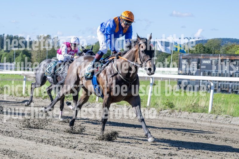 20250917-123017-DSC_1863