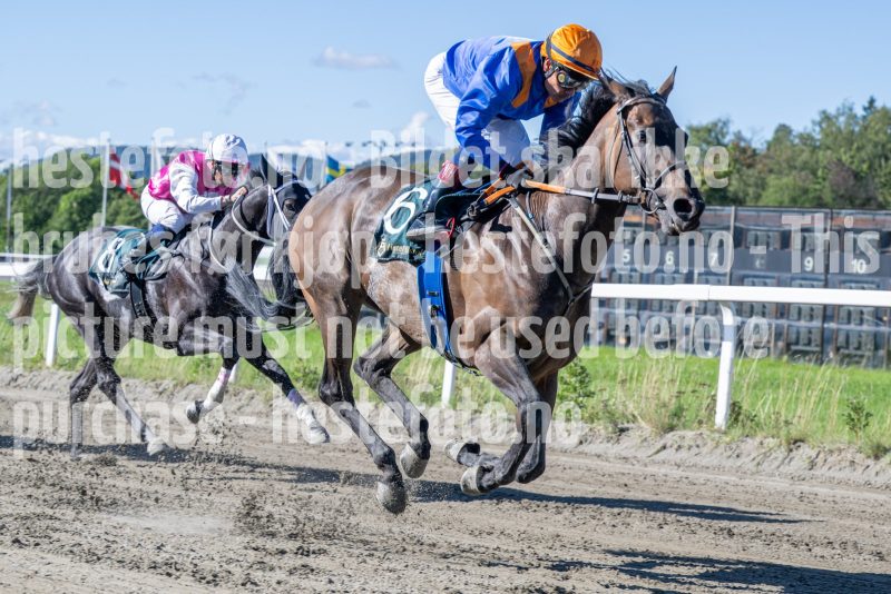 20250917-123017-DSC_1867