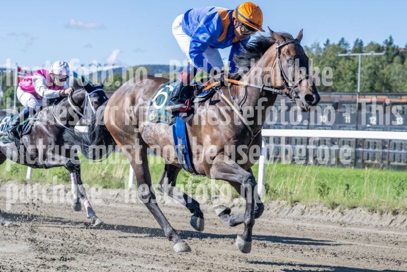 20250917-123017-DSC_1868