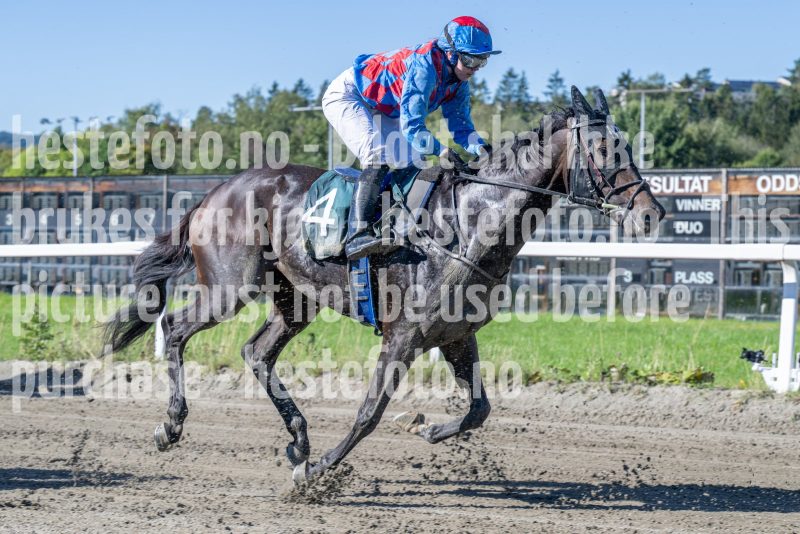 20250917-123018-DSC_1879