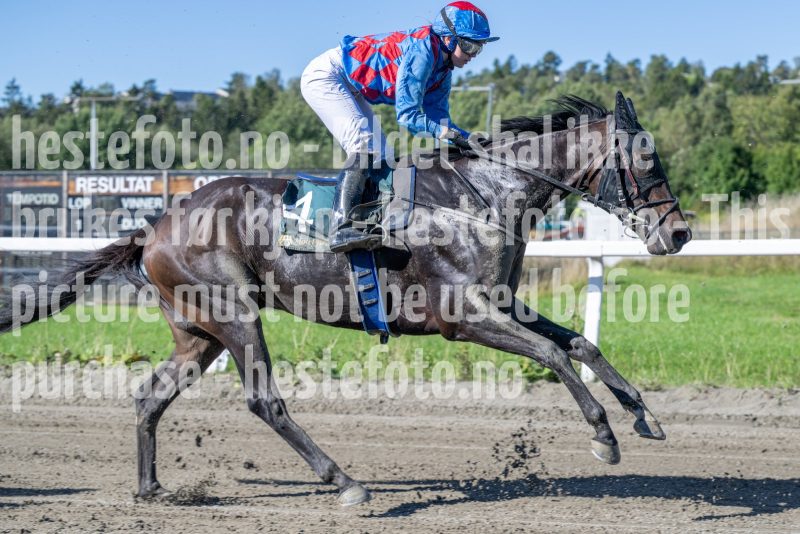 20250917-123018-DSC_1883