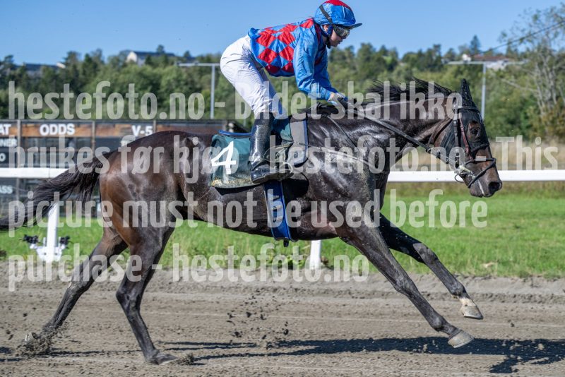 20250917-123018-DSC_1884