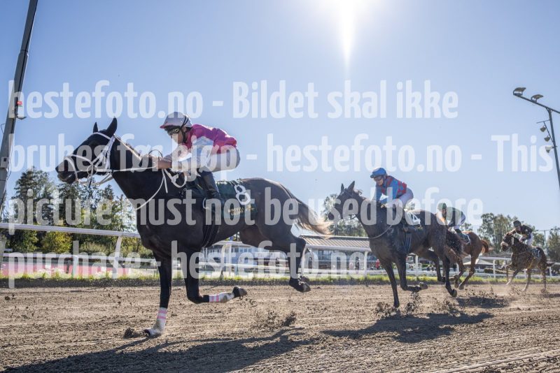 20250917-123029-DSC4229