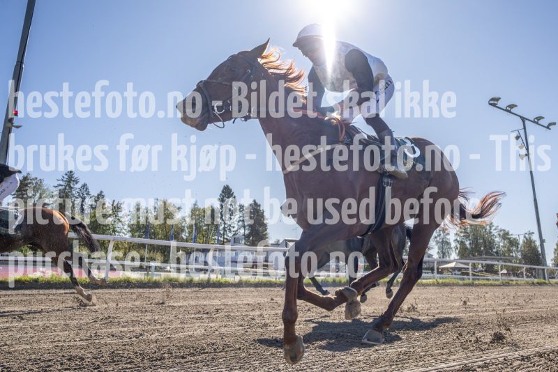 20250917-123030-DSC4238