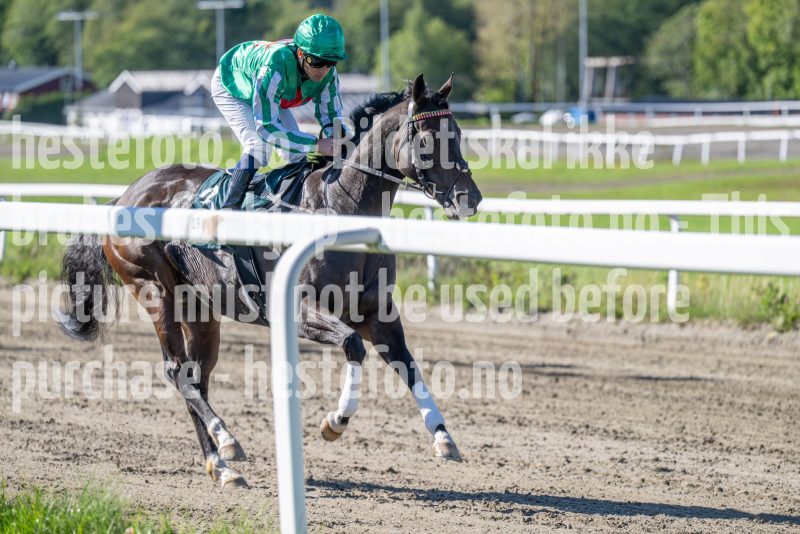 20250917-124553-DSC_2156