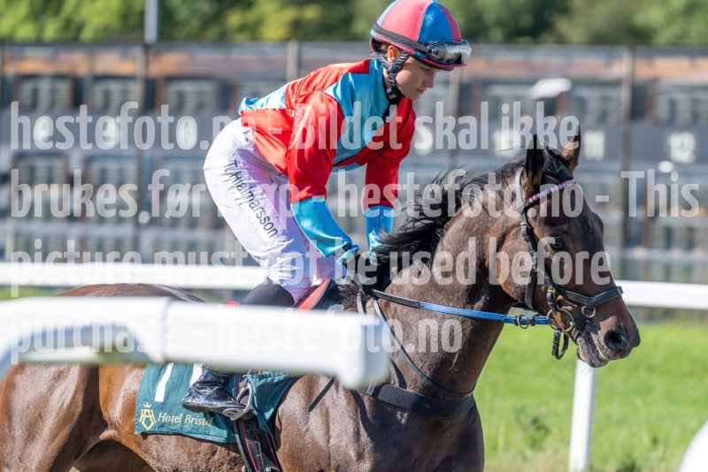 20250917-124608-DSC_2213