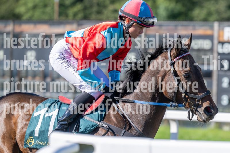 20250917-124608-DSC_2217