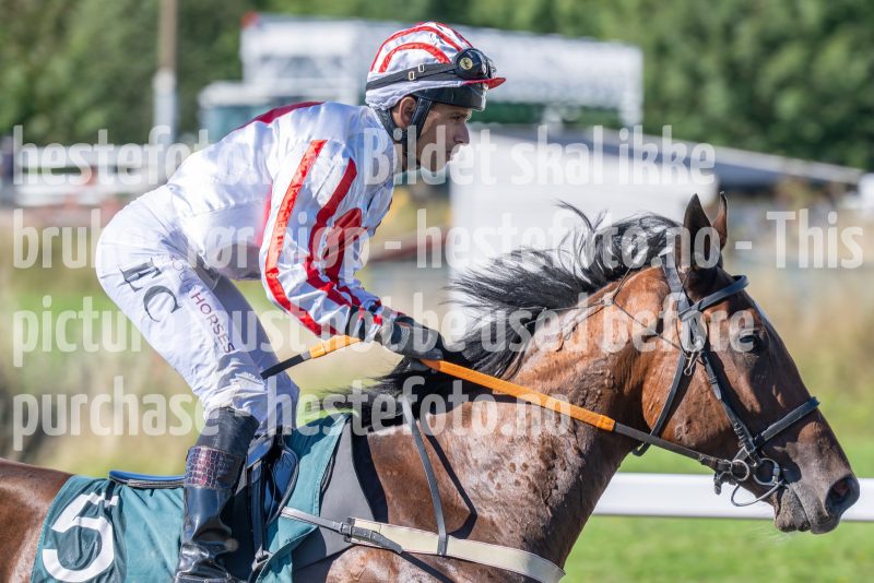 20250917-124615-DSC_2265