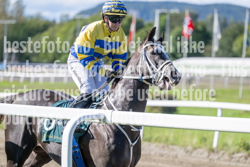 20250917-124625-DSC_2293