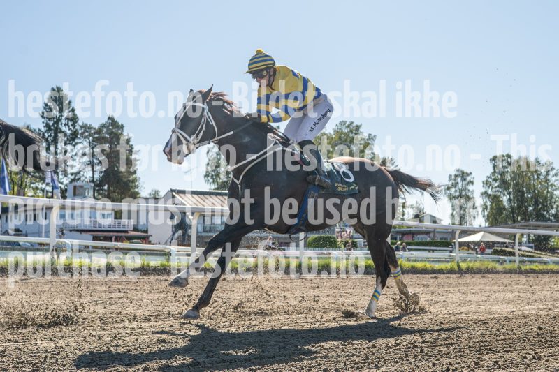 20250917-125206-DSC_6606