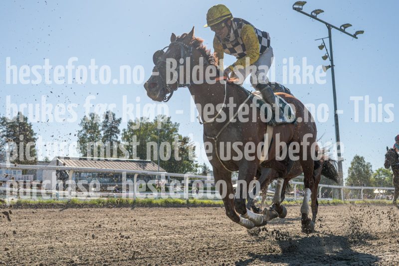 20250917-125208-DSC_6622