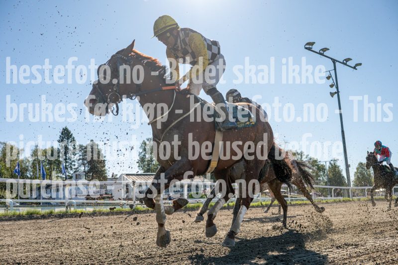 20250917-125208-DSC_6623