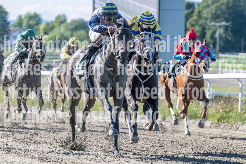 20250917-125239-DSC_2347