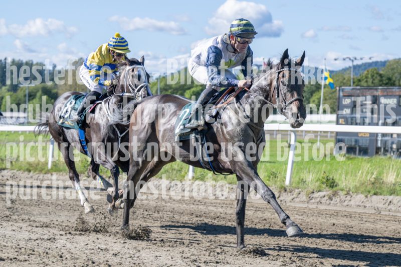 20250917-125241-DSC_2367