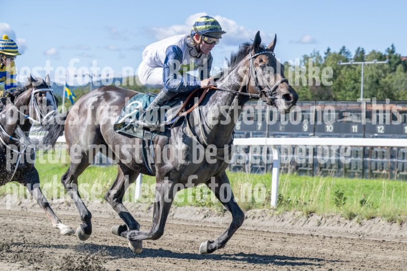 20250917-125241-DSC_2371