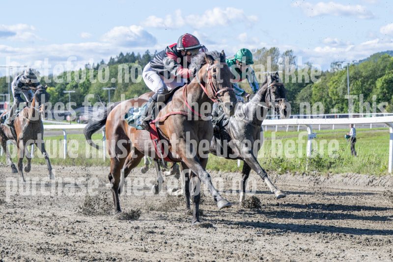 20250917-125241-DSC_2376