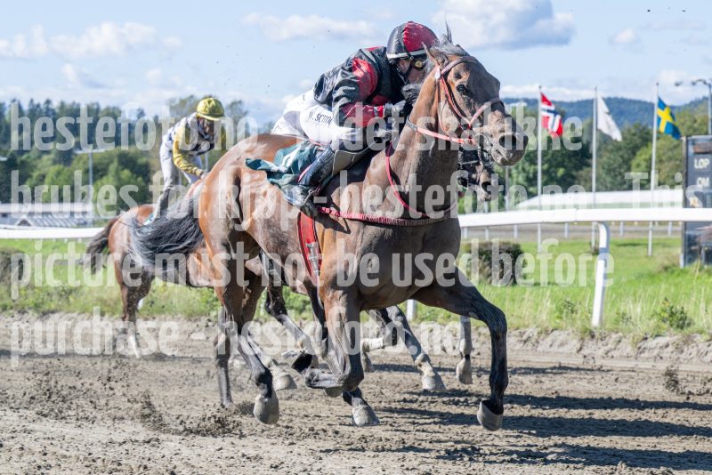 20250917-125242-DSC_2381