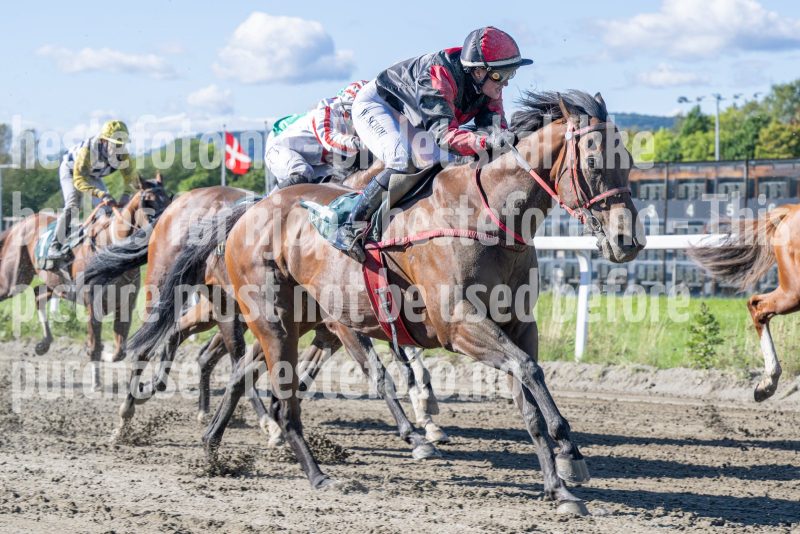 20250917-125242-DSC_2384