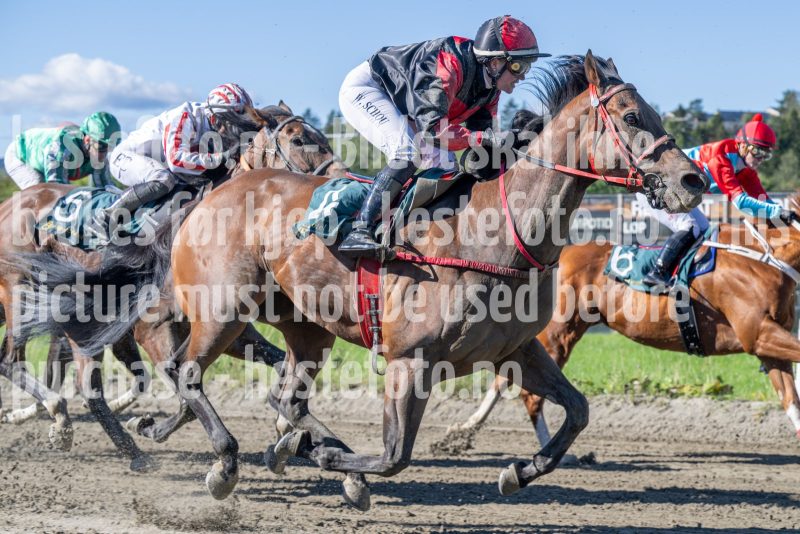 20250917-125242-DSC_2389