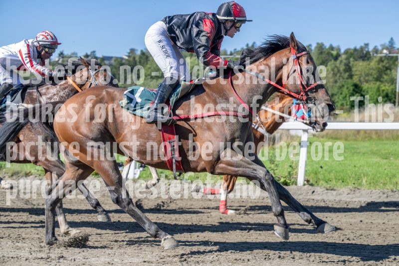 20250917-125242-DSC_2392