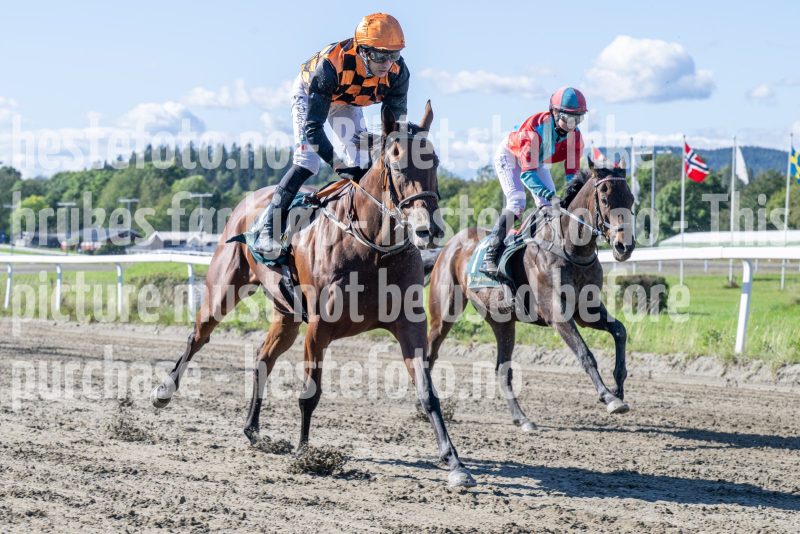 20250917-125243-DSC_2395