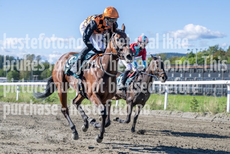 20250917-125243-DSC_2399