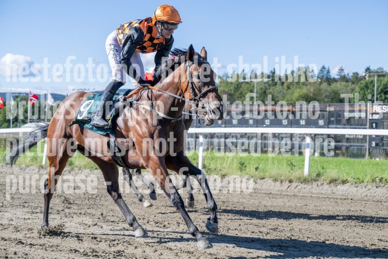 20250917-125243-DSC_2402