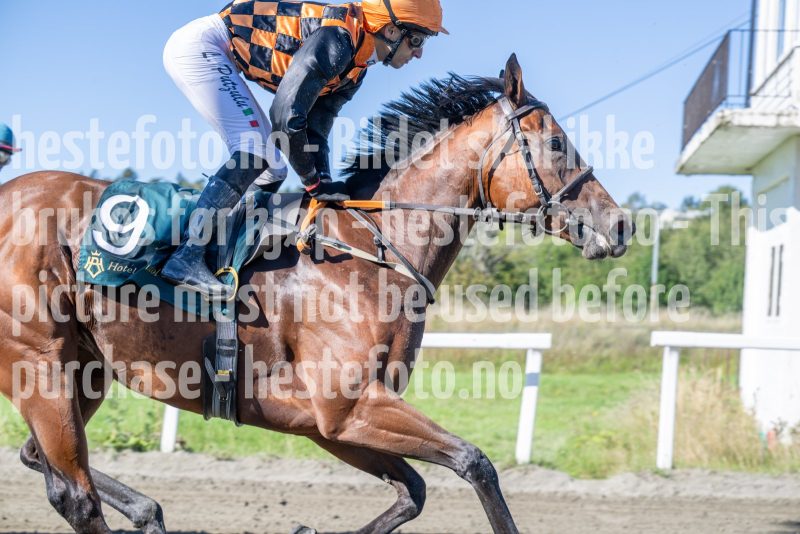 20250917-125244-DSC_2409