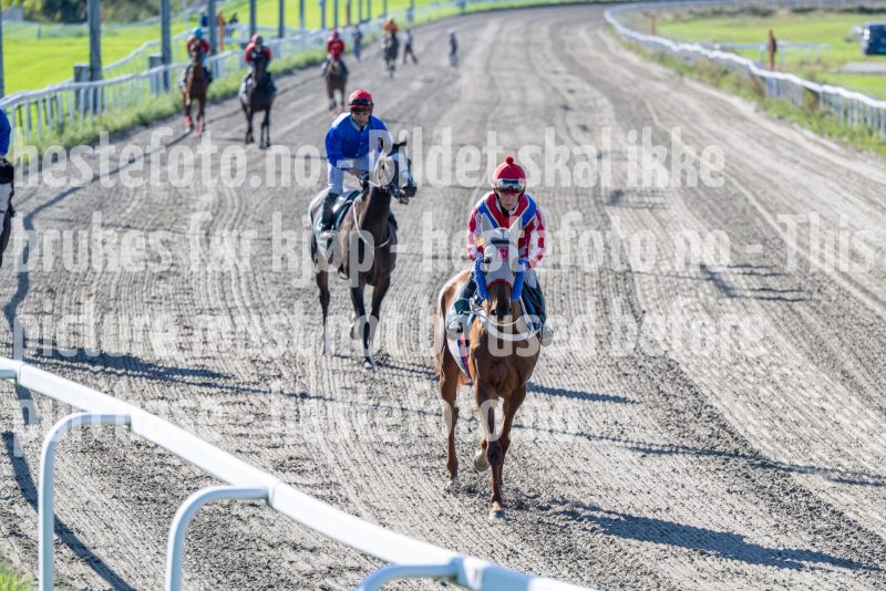 20250917-130833-DSC_2670