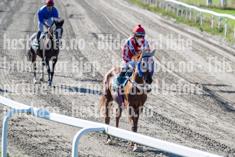 20250917-130834-DSC_2674